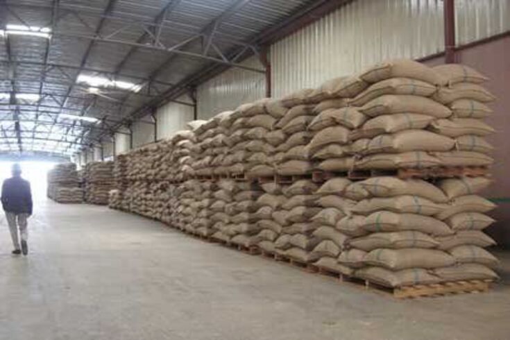 Coffee Export Company in Cameroon
