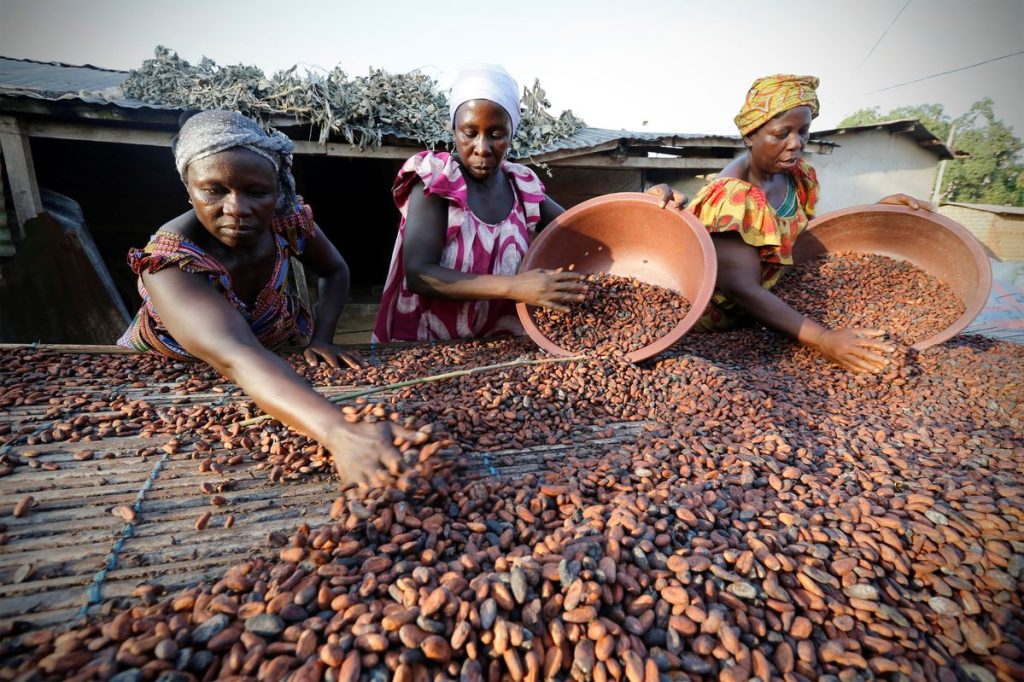 Certified Sustainable Cocoa Cameroon