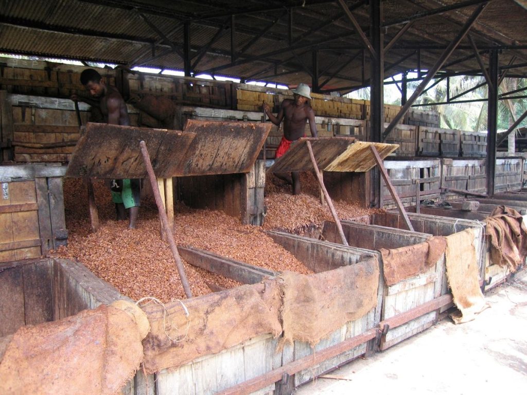Cameroon cocoa beans international trade